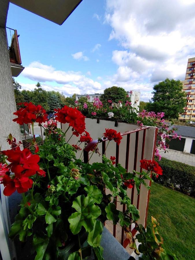 شقة Loft House Sopot Apartament المظهر الخارجي الصورة